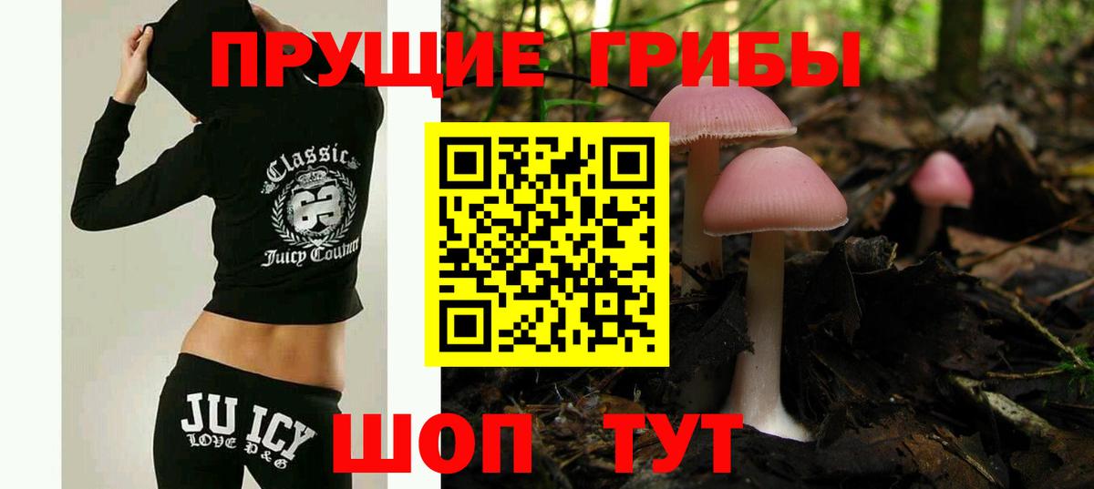 Псилоцибиновые грибы мухоморы Асбест